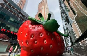 Проект «Сделано в Москве» удвоил обороты и расширил аудиторию