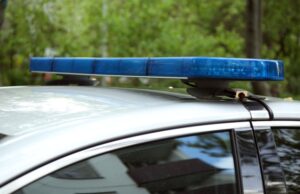 Сестра принцев Уильяма и Гарри обнаружена мертвой в Британии