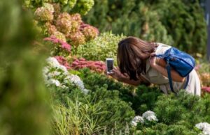Подведены итоги фотоконкурса «Самая красивая страна»