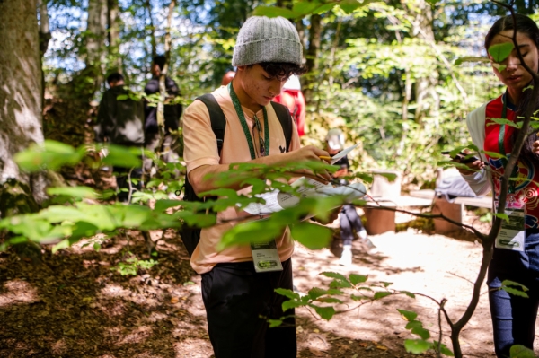 Российская команда выиграла олимпиаду по экологии в &laquo;Сириусе&raquo;