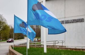 В Таллине прошел пикет в поддержку арестованного политика Айво Петерсона