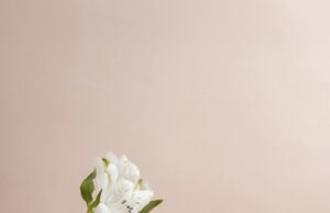 С заботой о будущем поколении