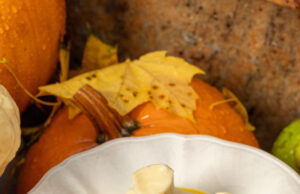 Тыква в грузинском прочтении: спешл в «Авлабаре»