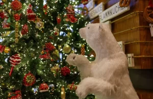 Праздничный ужин в Krombacher Beer Kitchen