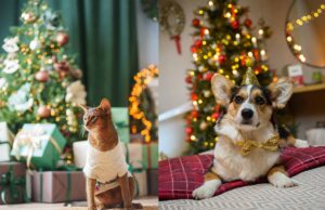 «Пушистая зима в Большой Стране»: фольклор, любовь к животным и новогодняя магия на выставке в мультимедийном пространстве