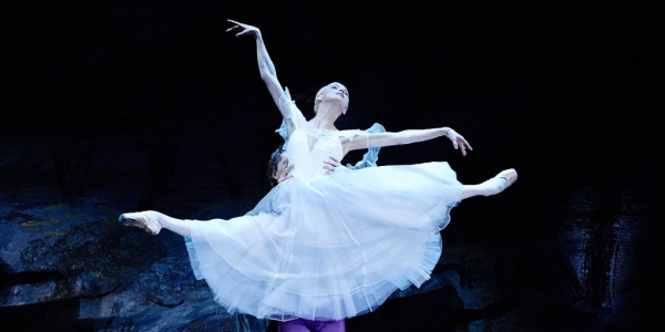 c13513276a2b98478126cd5263da75cd