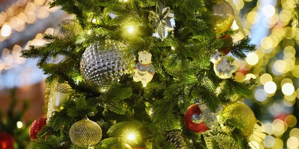 e1aa8d5119e3e6ecb02b1bd21010bb63