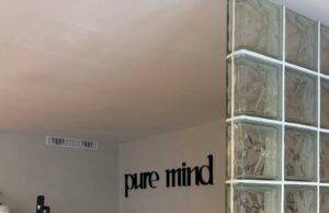 Что такое Pure mind?