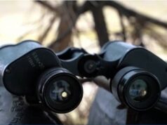 Американский журналист призвал развенчивать мифы о России