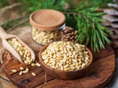 Кедровые орехи: польза и вред для организма мужчин, женщин, противопоказания