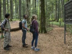 Топ-7 самых опасных и страшных лесов мира – список