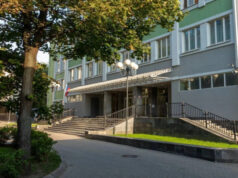 Для педагогов за рубежом, преподающих на русском языке, запускают масштабный проект