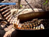 Специальная военная операция: главное за 23 мая