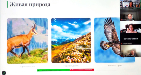 От Эльбруса до Татр: в Братиславе прошёл видеомост со словацкими студентами-переводчиками От Эльбруса до Татр: в Братиславе прошёл видеомост со словацкими студентами-переводчиками