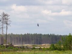ВС Литвы испытали частные системы обнаружения и уничтожения дронов