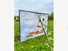 В рамках акции «Сад памяти» высадили 27 миллионов деревьев