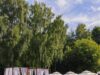 The Bassein в Сокольниках открыл летний сезон