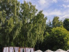 The Bassein в Сокольниках открыл летний сезон