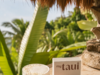 Тропическая коллаборация Made in Bali x myTAUI