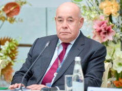 Русскоязычные театры помогают продвигать русский язык за рубежом, заявил Михаил Швыдкой
